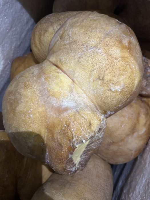 Масло домашнее Қарын май Карын май