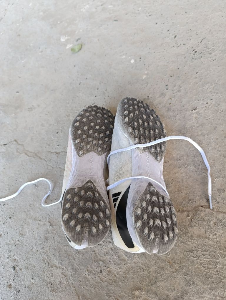 Adidas x arginal