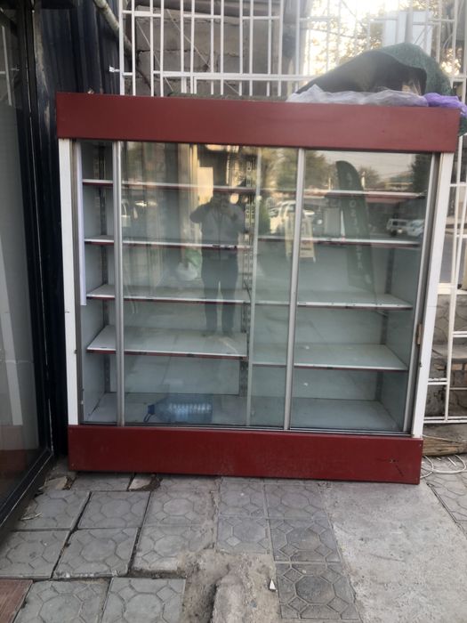 Elektronika Xolodelnik