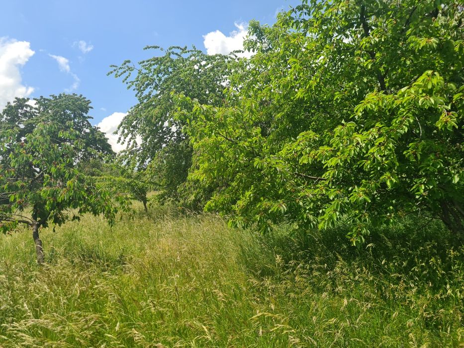 Vând teren intravilan, 2700 mp