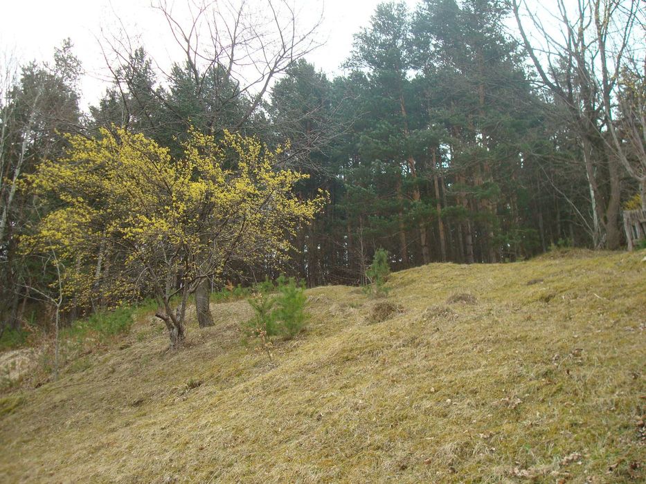 De vânzare teren de 5500 mp situat în Vădurele