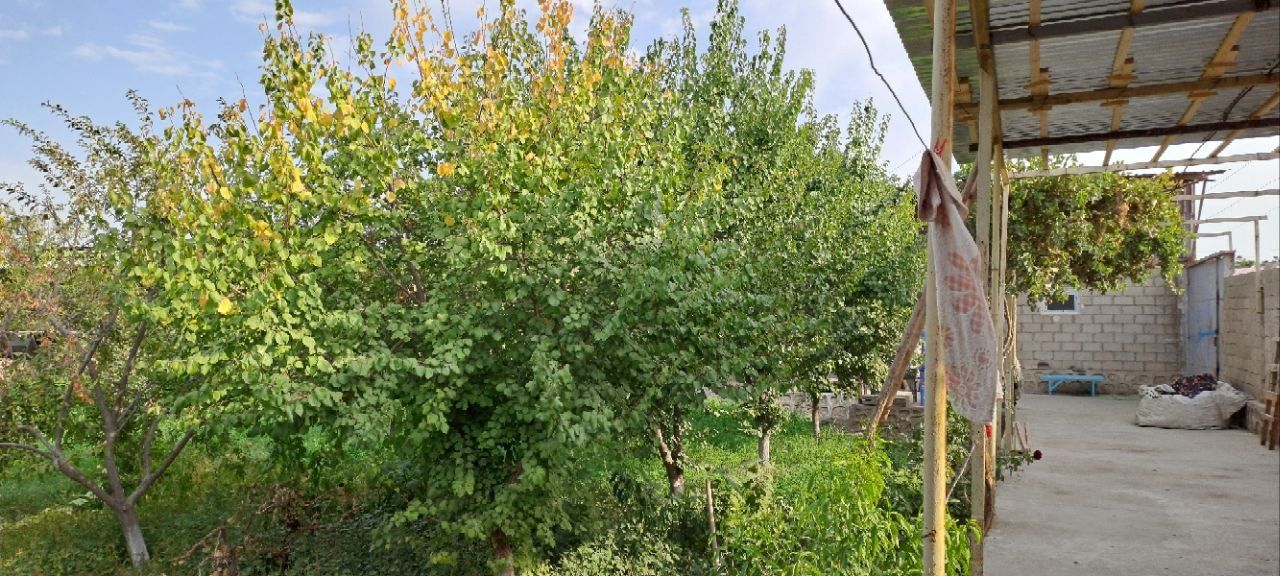 Продаётся   участок в Кагане , возле ресторана НУР-ХАЯТ 16 соток