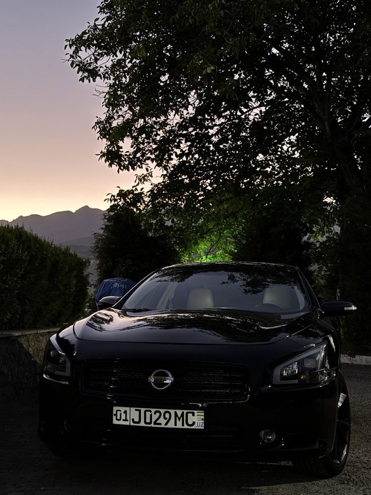 Продаю Nissan Maxima A35 3.5l.