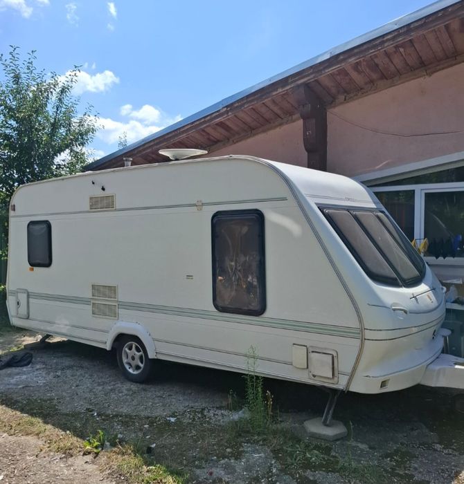 Rulota Elddis inmatriculata