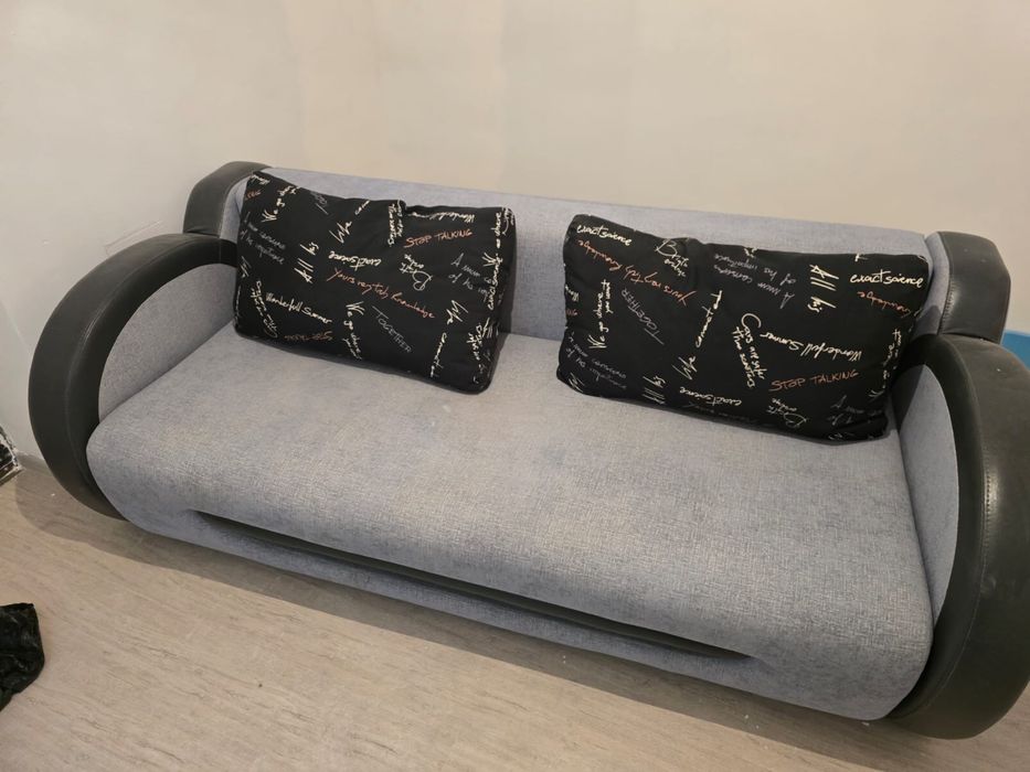 Диван с выдвижным механизмом Дельфин