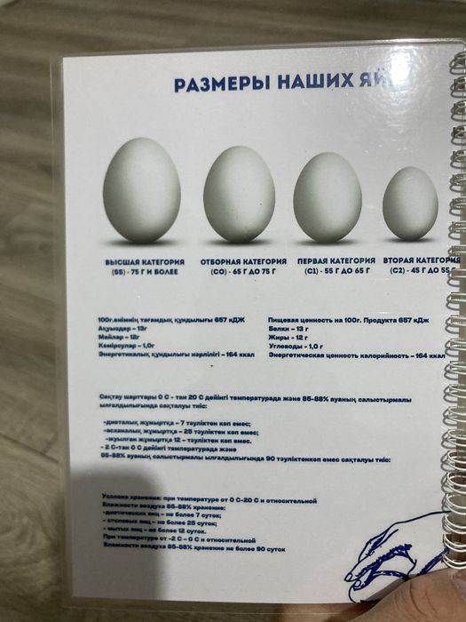 Жұмыртқа оптом.