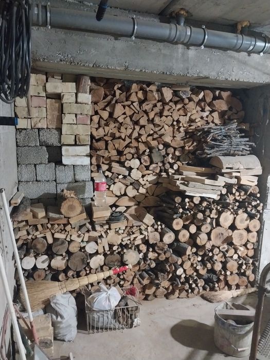 Отин  сотилади орик  дарахтники