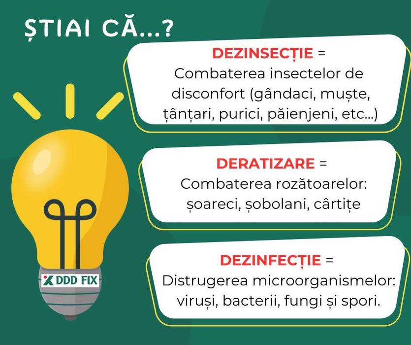 Oferim servicii Dezinsectie si Deratizare in Bucuresti si Ilfov