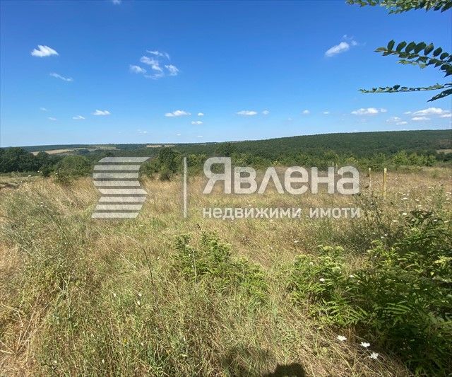 Панорамен парцел