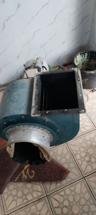 Mator vitiwka  iwlawi yangiday