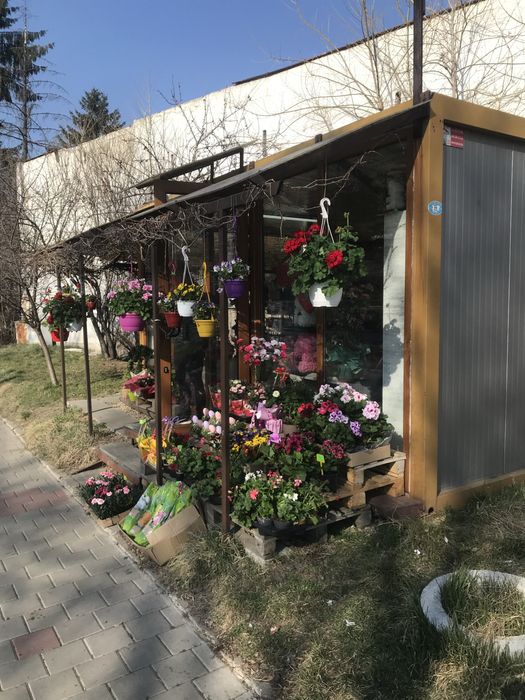 Цветарски магазин Топ локация