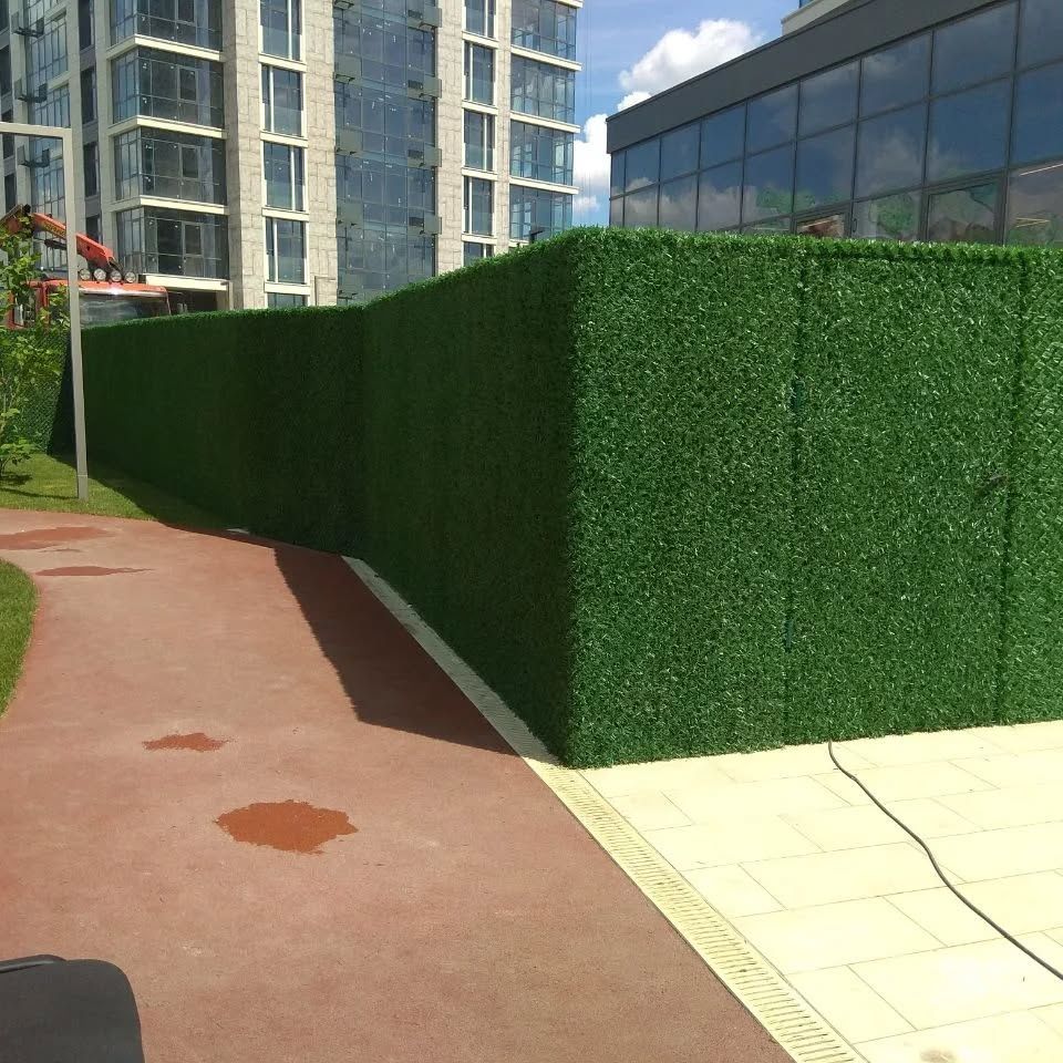 Suniyzabor #green #garden