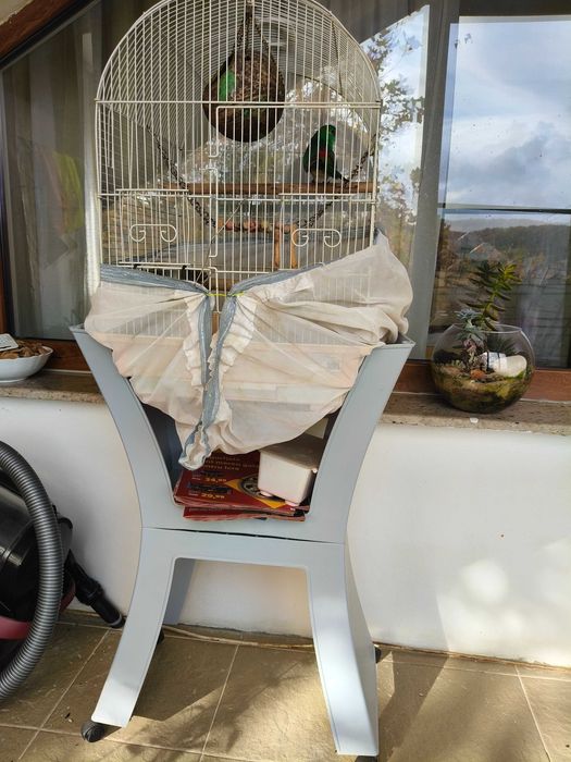 Papagal cântător cu tot cu colivie