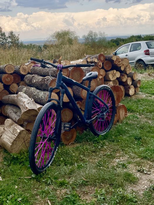 Vand sau schimb bicicleta rockrider st530 custom