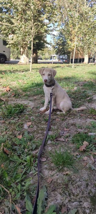 Малышка ищет семью!