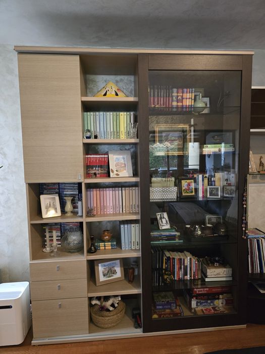 Set Biblioteca și comoda TV