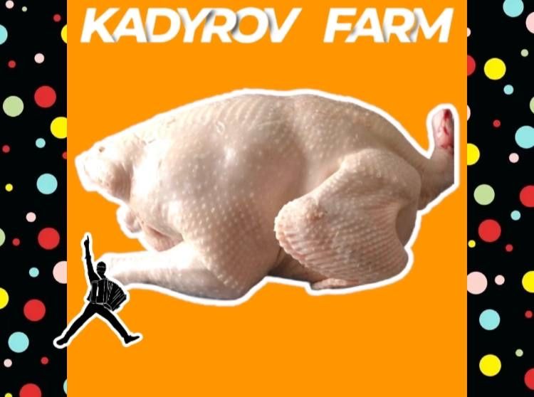 Закажи сочную индейку: натурально, без гормонов