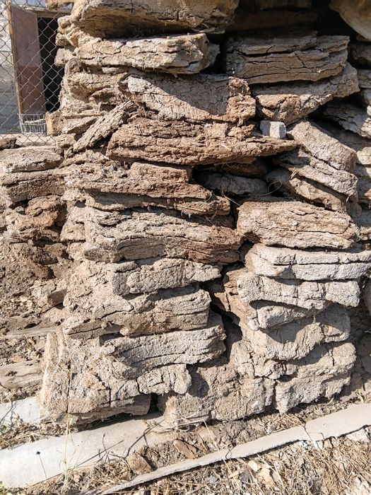 Тезек (көң ) сухой