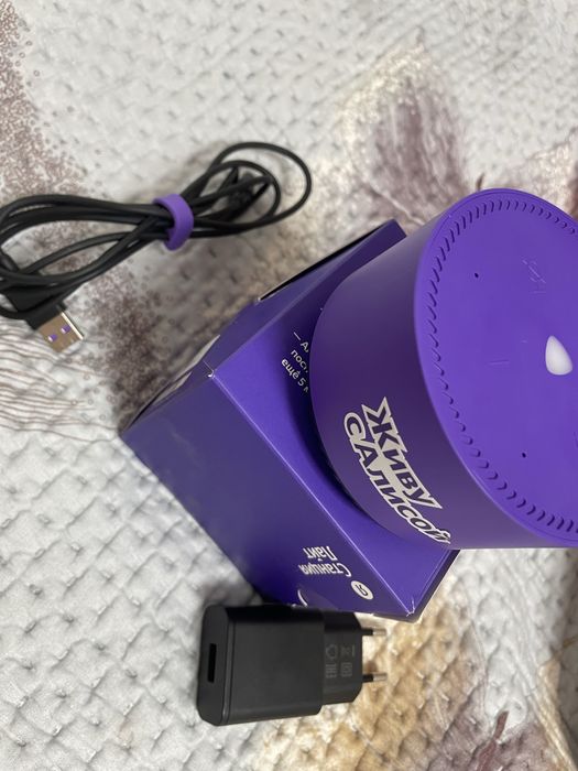 Станция, колонка Алиса