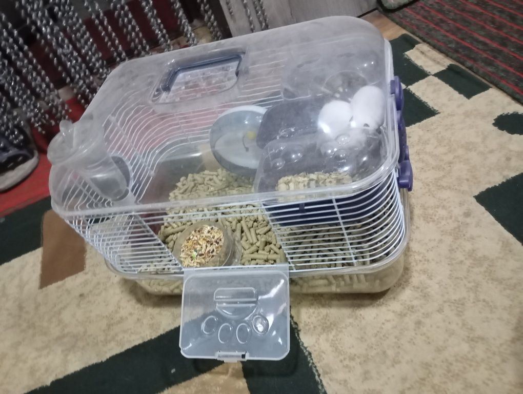 Хомяки с клеткой
