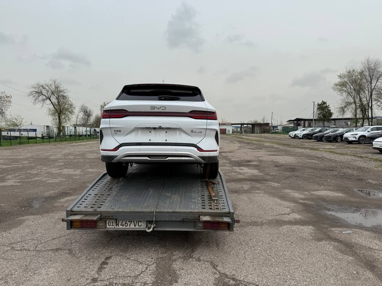 Byd Champion full restyling