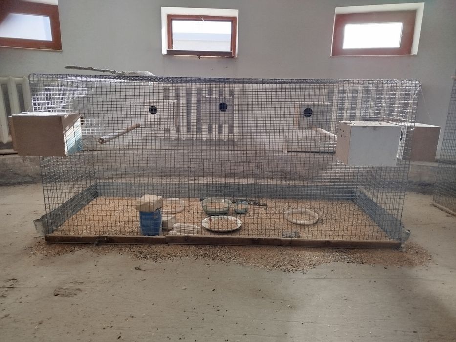 Кушлар учун валерлар клеткалар сотилади