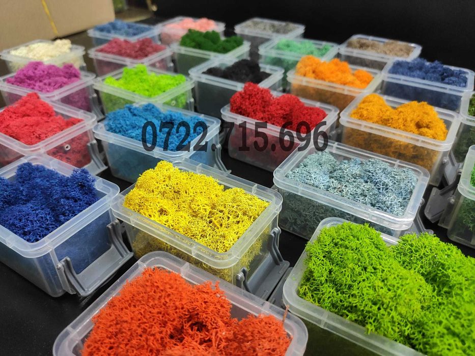 Licheni stabilizati Sibiu, calitatea 1