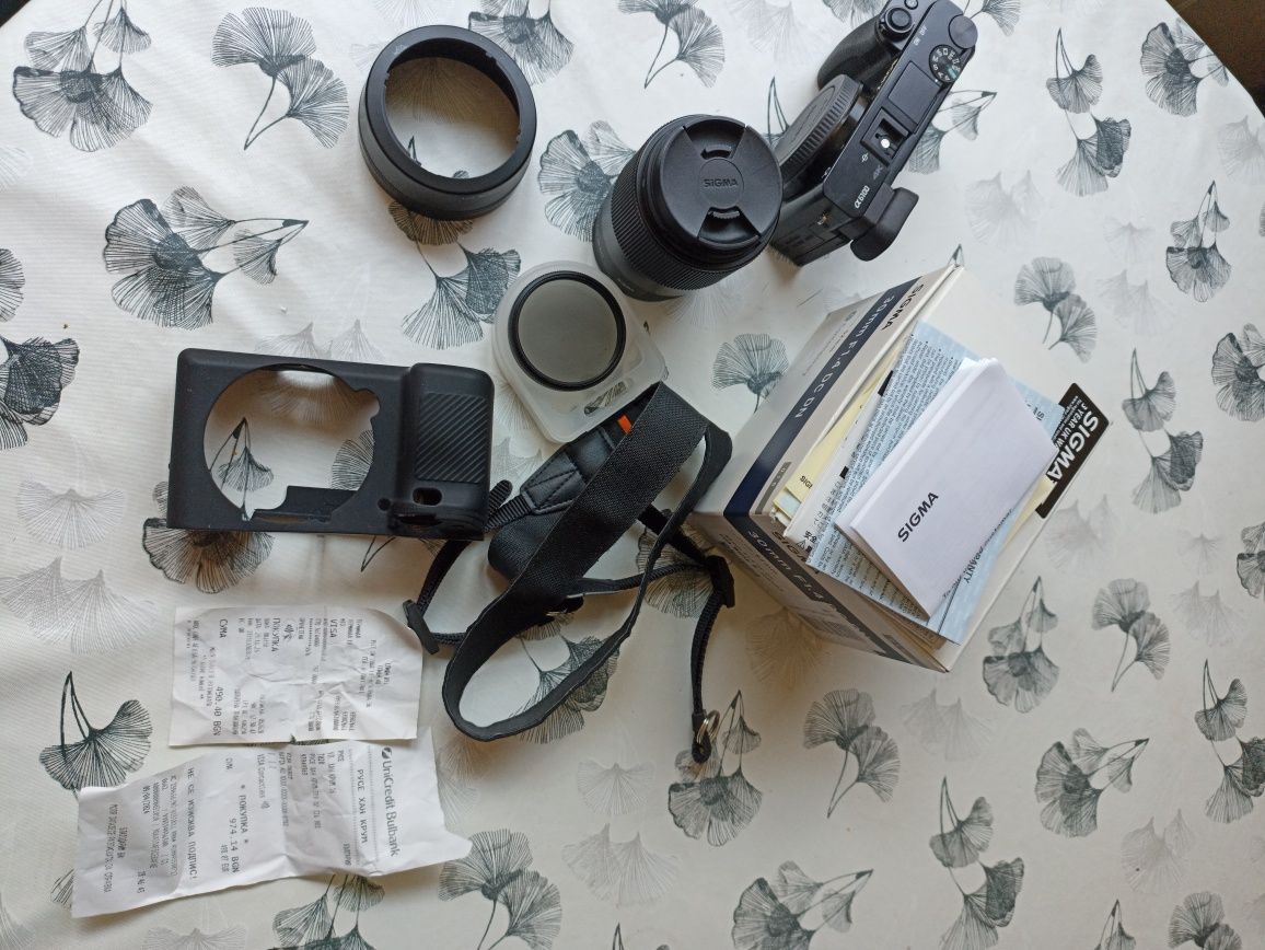 Камера Sony a6100