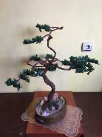 Бонсай, бонзай, bonsai, мини дърво декоративно