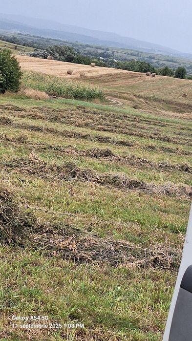 Vând baloti de lucerna