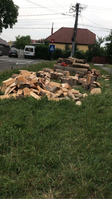 Tai lemne cu druja in jud arad