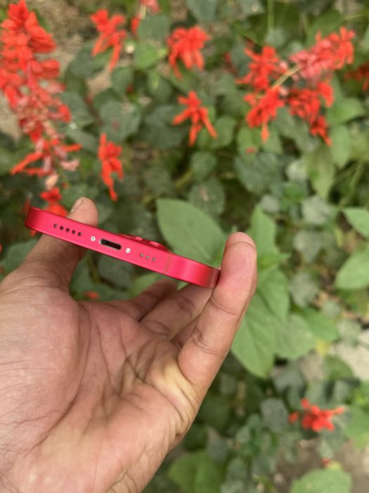Iphone 14 256 radnoy bez ime aybi