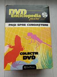 Colectie DVD Enciclopedia junior "Pasi spre cunoastere"