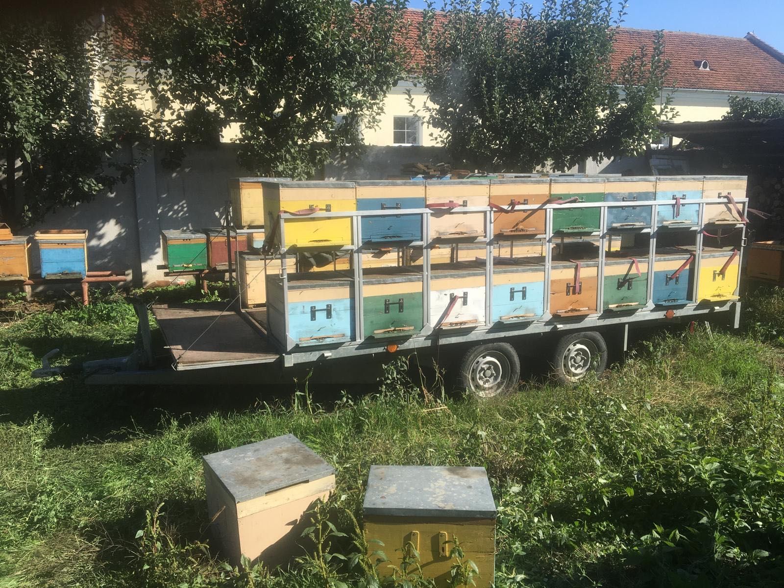 Vând remorcă reversibilă Eduard ideală pentru stupi sau transport auto