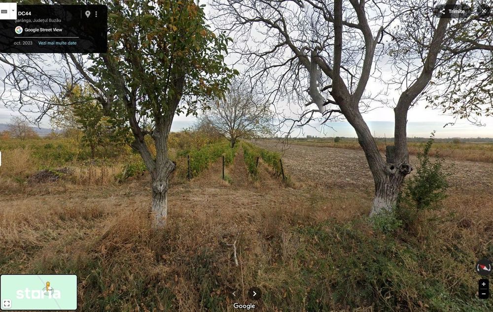 Teren extravilan Pietroasele, ID: R2586802