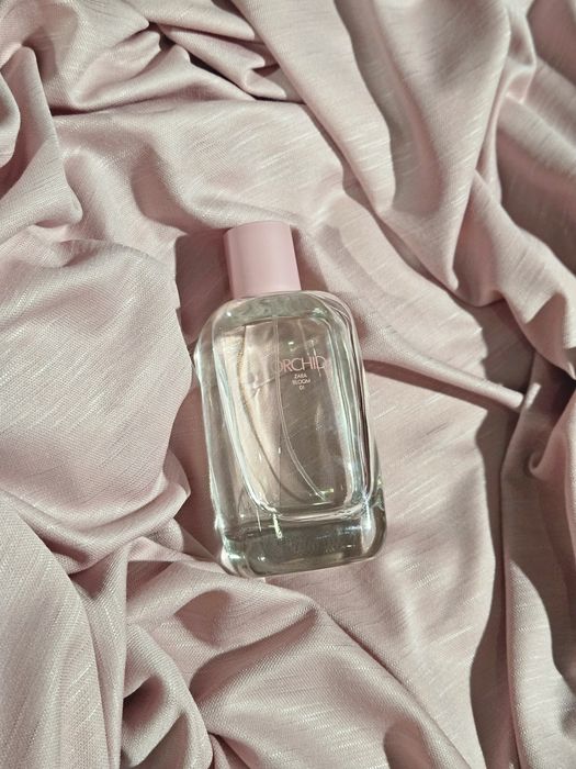 Orchid ZARA bloom 01