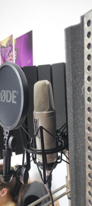 Microfon studio Rode Nt2a nou