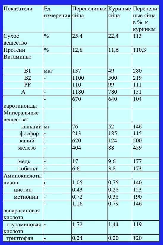 Домашнее перепелиное яйцо