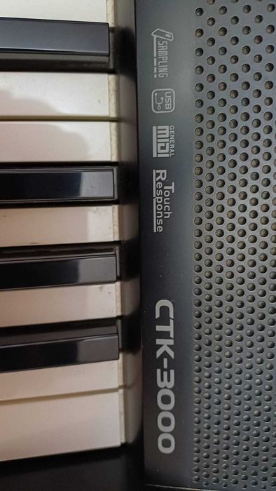 Vand Orga Vand Orga Casio CTK-3000