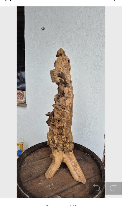 Povestea lemnului : Măslin si Cireș