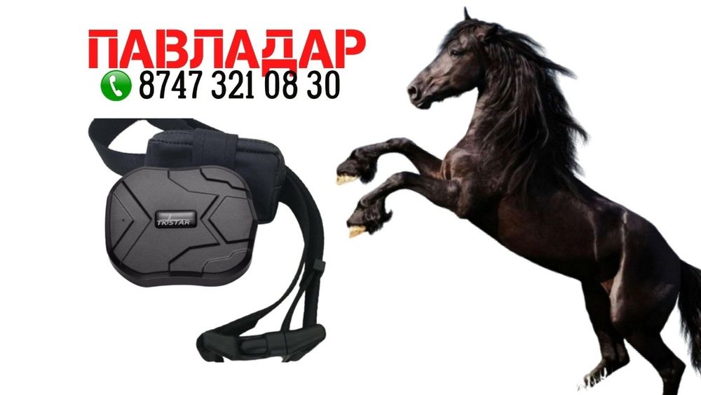 Жпс трекер жылқыға арналған, жпс для лошадей