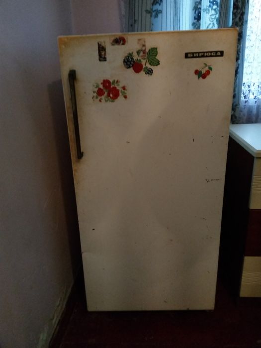 Холодильник Бирюса