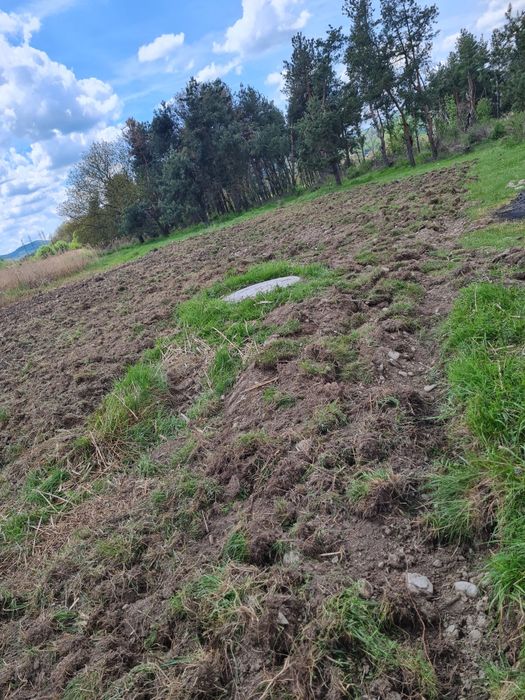 Vând teren în Curtea de Arges