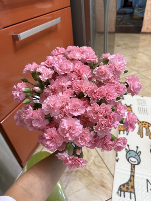 Цветы букет диантусы