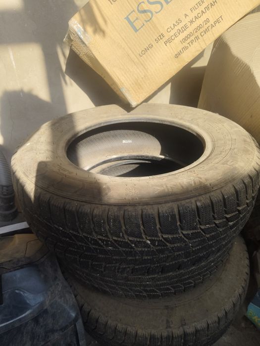 Шина triangle шина