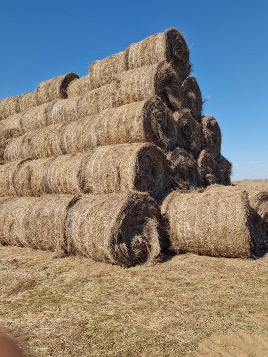 Сено. Рулоны. 5000 тенге