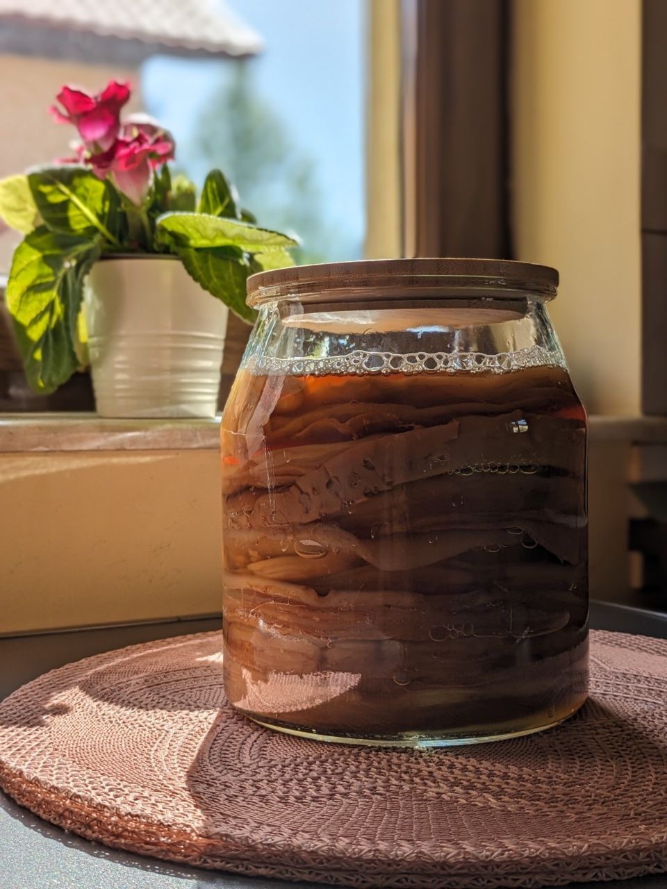 Kombucha (Scoby) + ceai starter