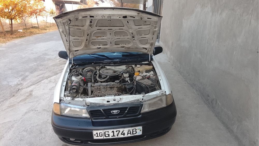 Kareski nexia asvejit qilingan suyagi butun