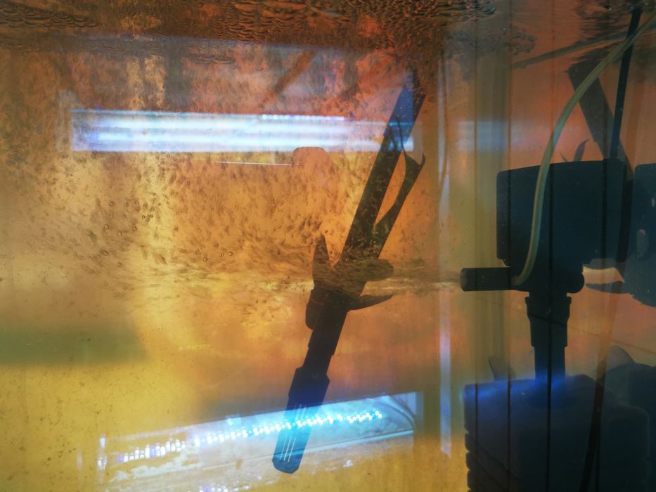 Cap de filtru oxigen