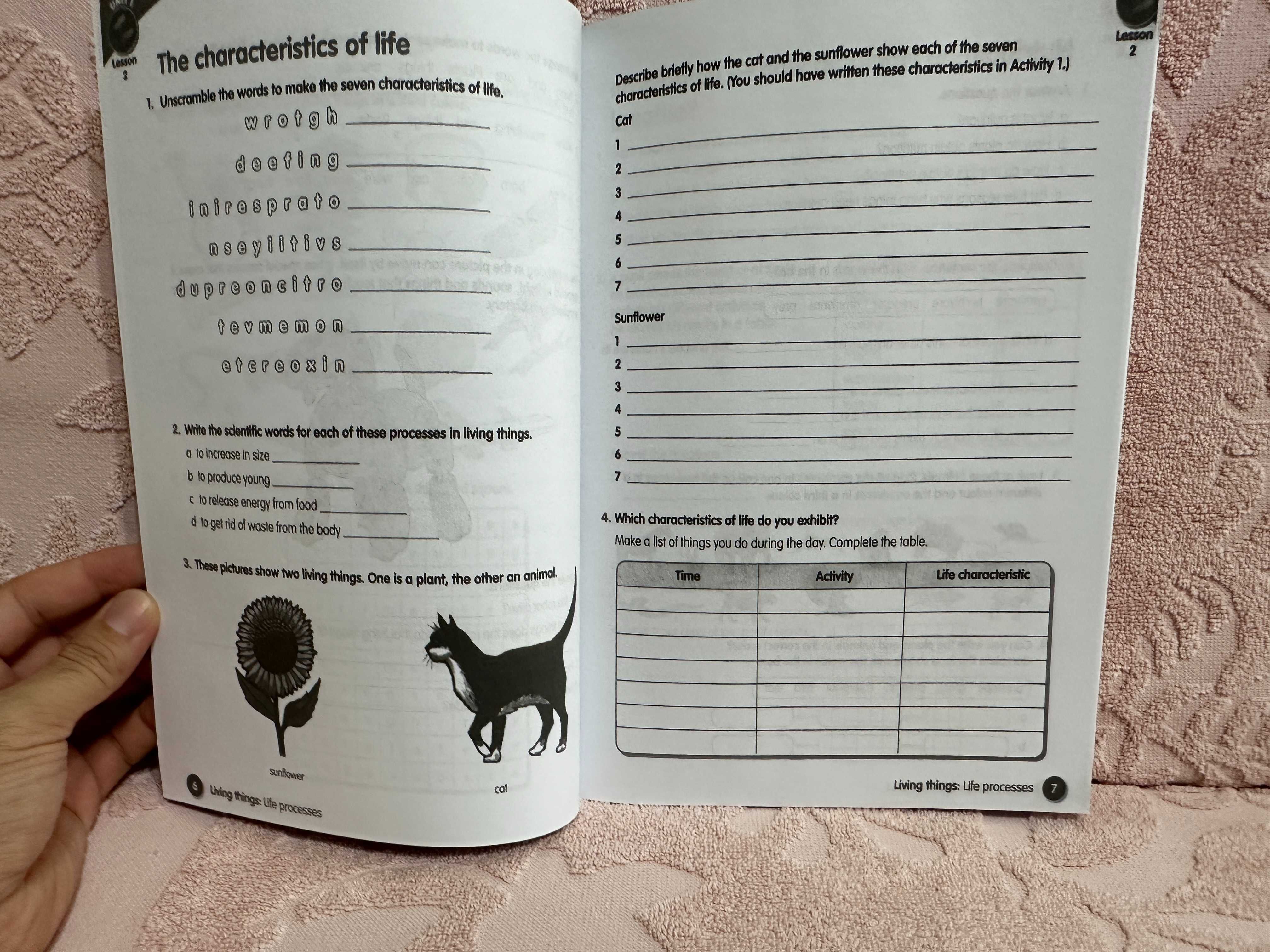 Macmillan Science 4 Pupil's book  + Work book + CD-Rom